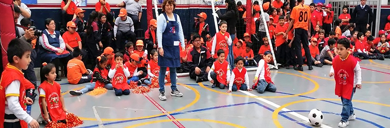 Deportes y educación física